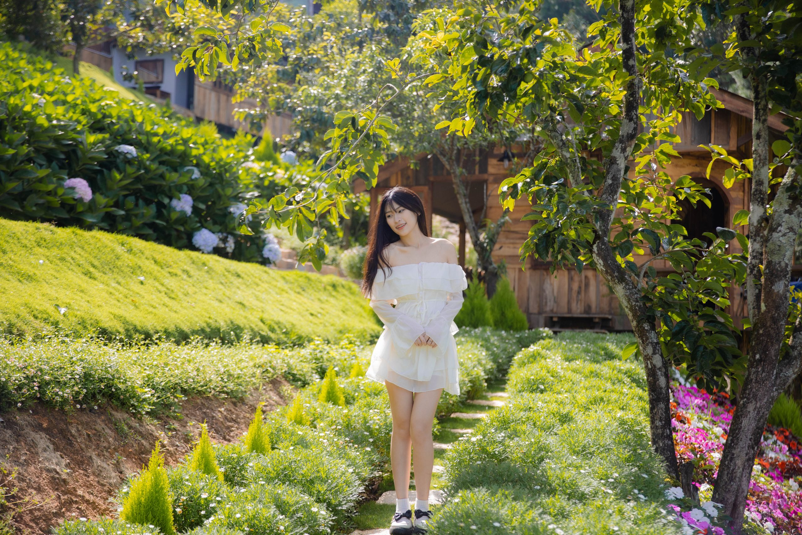 Nhà Của Thông