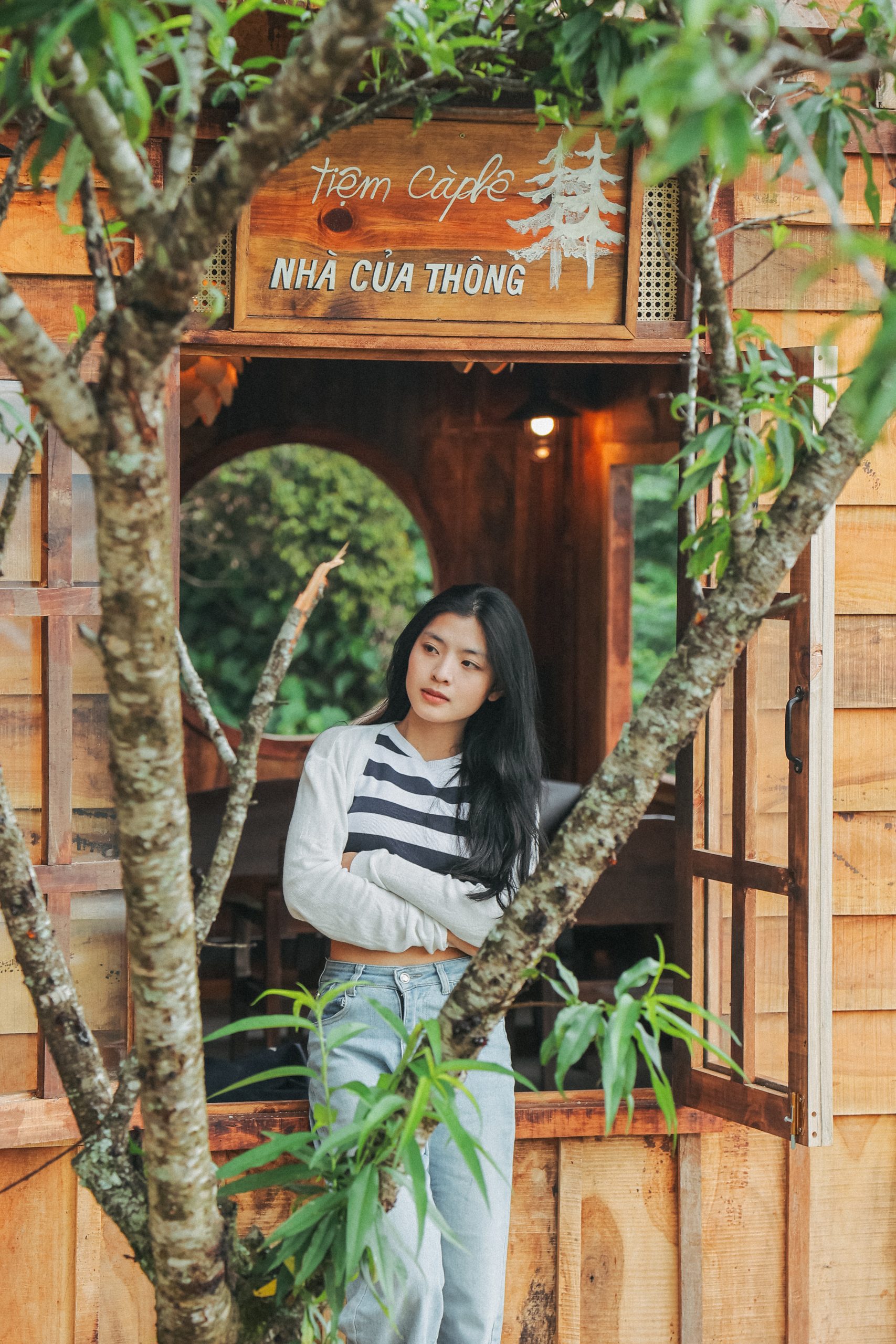 Nhà Của Thông